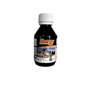 Reconstituyente vitamínico y mineral Energy